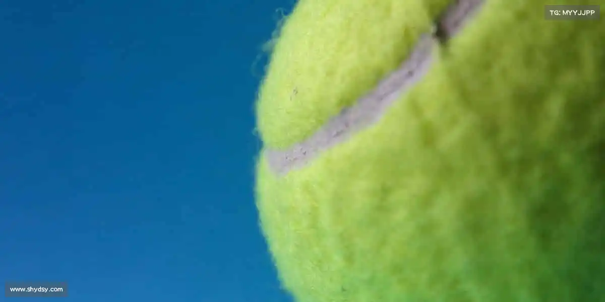 我们的核心竞争力